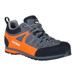 Buty trekkingowe The Ridge Low Pro<Alpinus Best