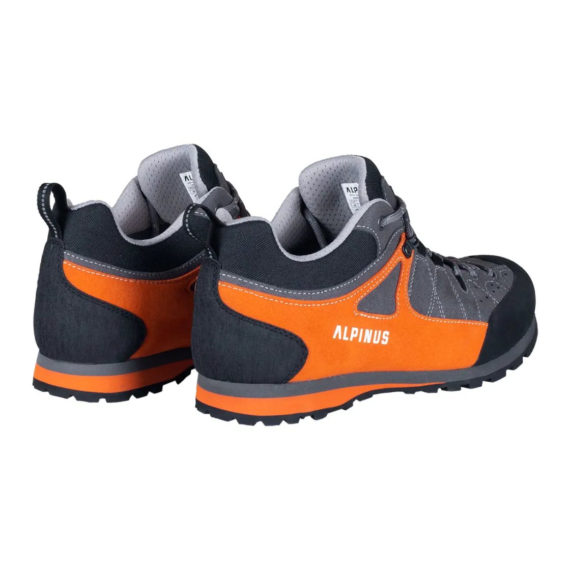 Buty trekkingowe The Ridge Low Pro<Alpinus Best