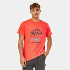 Koszulka męska Polaris<Alpinus Online