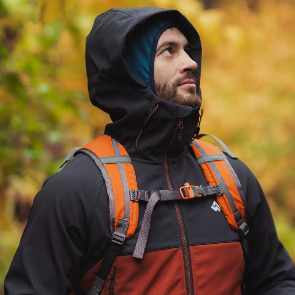 Kurtka męska softshell Pelat<Alpinus Online